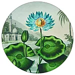 Ft 449276 ve100 o product mask 2