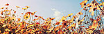 180 x 60 cm