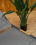 Livoutdoor terrassimööbel päevitustool polo antratsiit 86