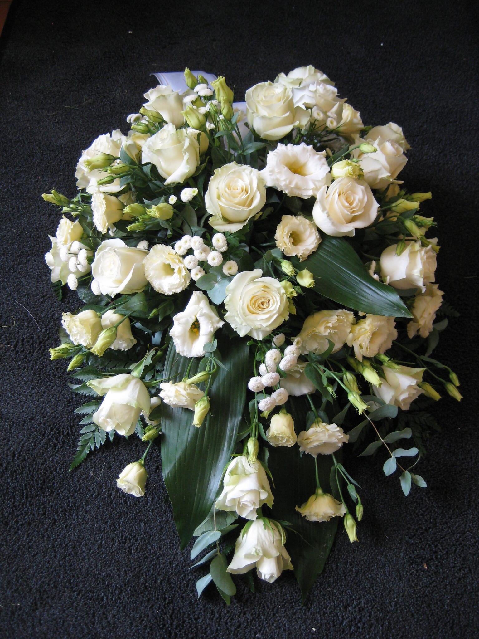 Leinakimp alates 70€