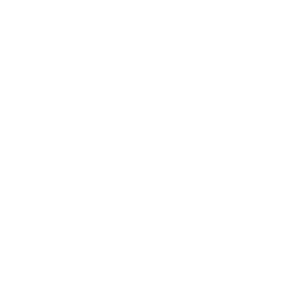 Suomen Viron-instituutin