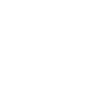 Suomen Viron-instituutin