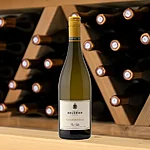 Copy of copy of copy of september   10