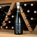 Cygnus sador cava