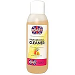 Ronney cleaner mango 100ml.spm.23315 b1