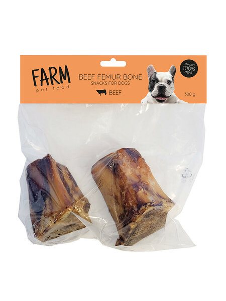 Farm beef femur bone