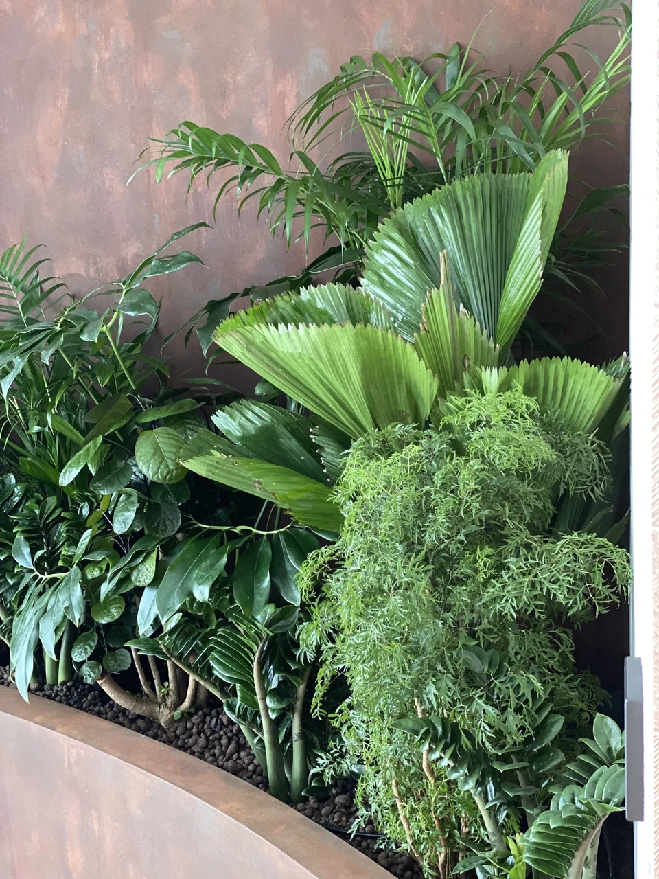 Rohevägine – Esileht