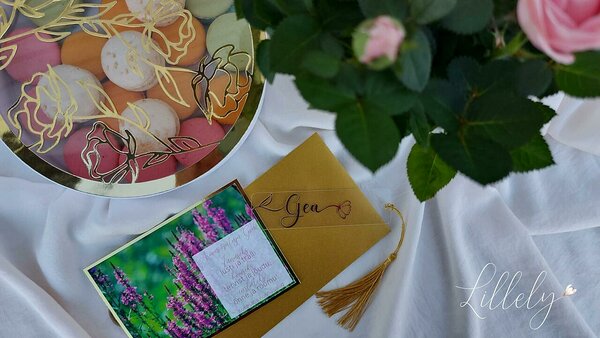 Ilus kinkekomplekt õpetajale - kinkekarp makroonidega, käsitöö kaart, nimeline lillepott roosidega, nimeline järjehoidja