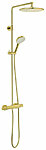 5795477 silhouet hh showerset brass