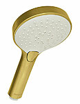 7668679 silhouet handshower brushed brass