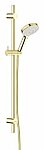 766887700 silhouet flex shower set polished brass