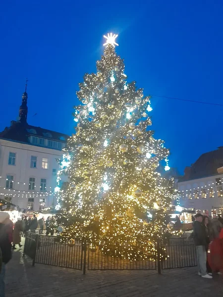 Christmas themed walking tour by Carmen reisid. Includes visit to the Tallinn Christmas market 