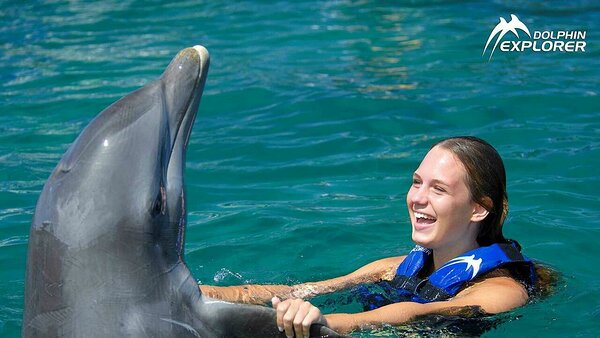 Une jeune fille heureuse interagissant avec un dauphin lors d'une excursion Cocotours à Punta Cana