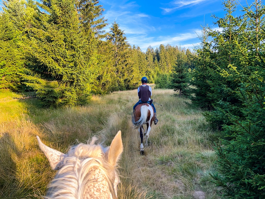 Ride on horseback to the Baiguate waterfall in Jarabacoa