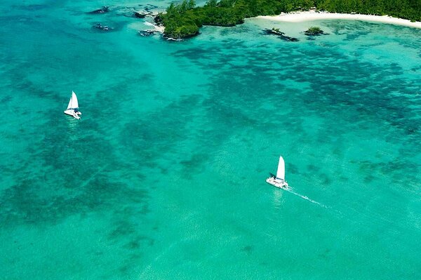 Katamaran-Segelboote auf dem Weg zur Saona Insel während einer Cocotours-Exkursion