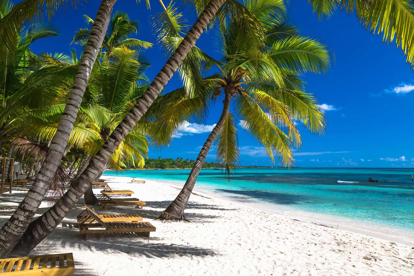 Ein verlassener Strand auf der Insel Saona, erreichbar von vielen dominikanischen Reisezielen