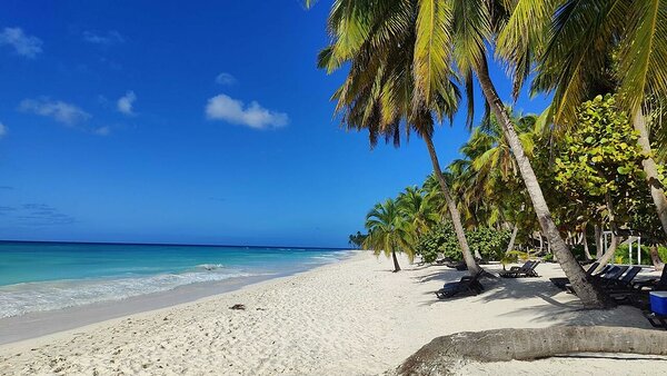 Book a Cocotours private tour to Saona