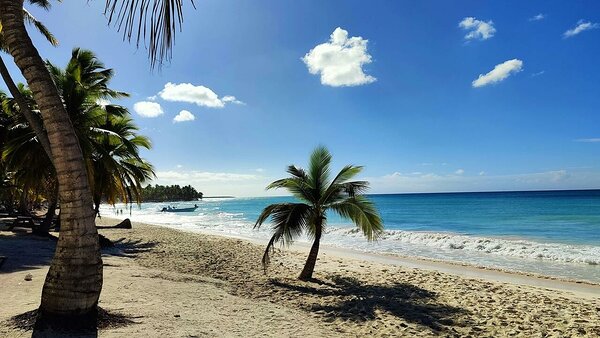 Idyllic Saona island
