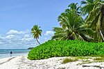 Saona island - all alone on the beach