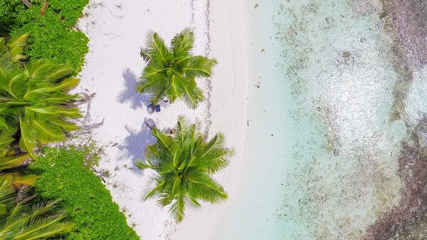 Overhead shot of Saona