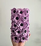 20261027 141215