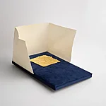 Handover gilders cushion2