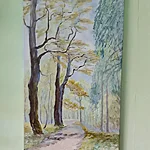 Img 20230529 113020 717 1