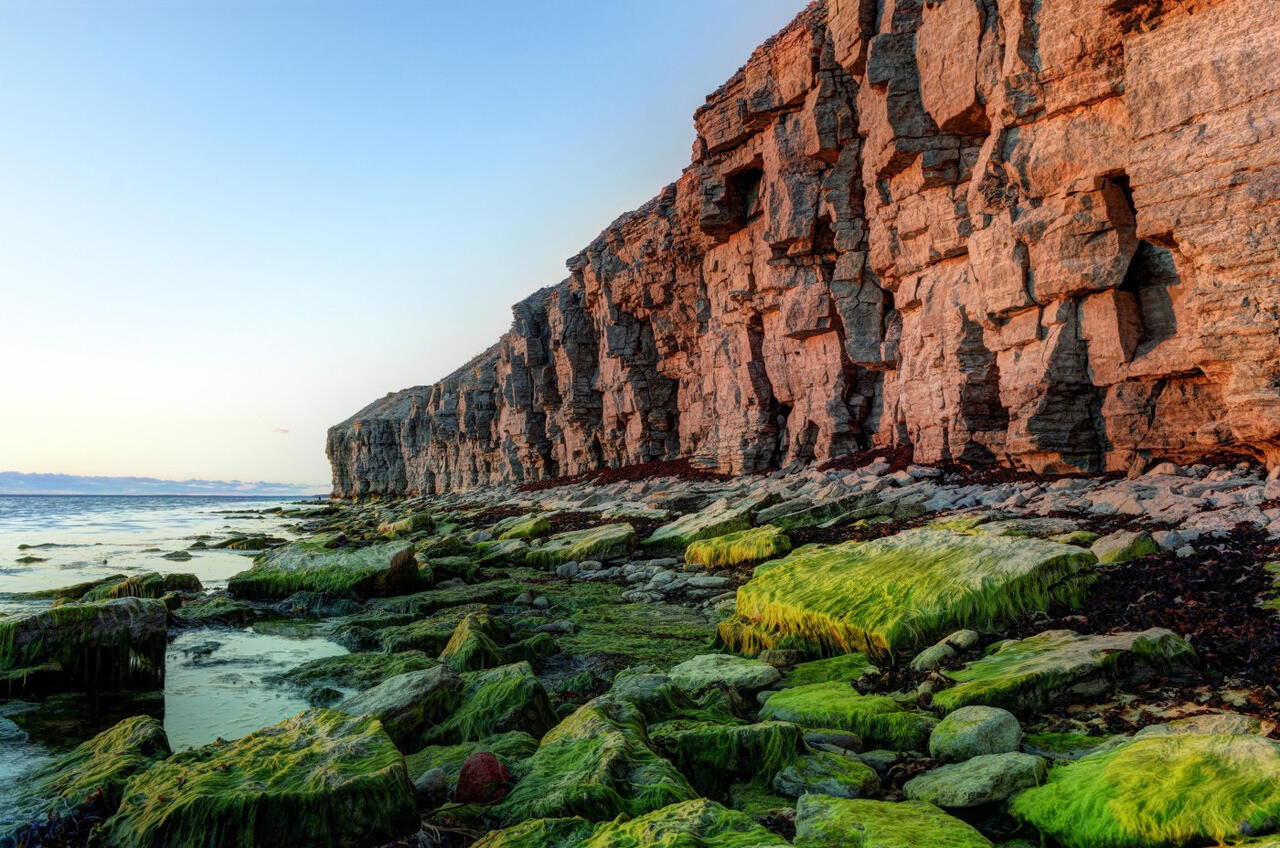 Eesti Geoloogia Selts – Esileht