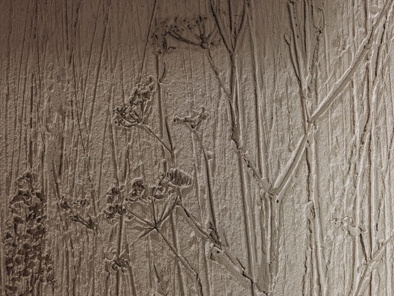 Apteegitill andis hea jäljendi ning kasvas siinsamas saatkonnahoone ees.