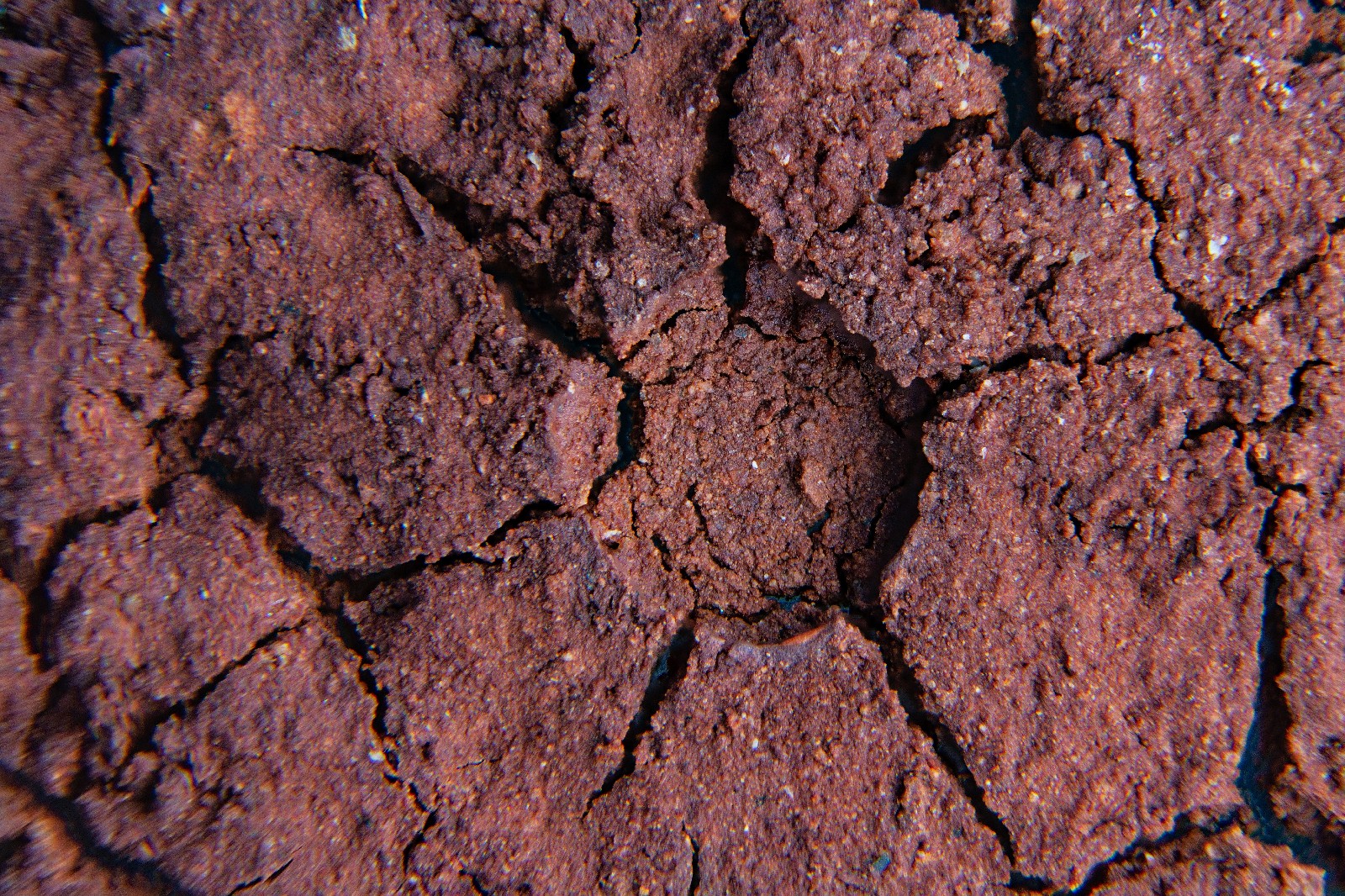 Millal valida viimistluseks SAVI?