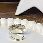 Img 0305