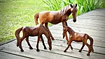 Img 0921
