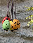 Img 3601
