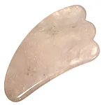 Photoroom 001 20251112 154701