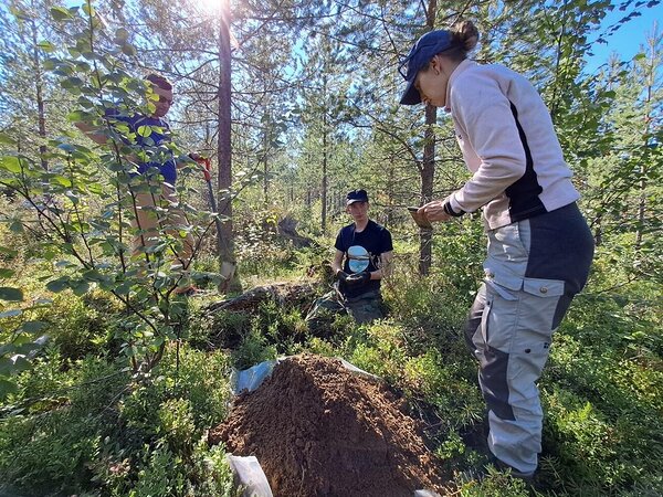 Till sampling from small pits in the drumlin-covered area near Hangaslampi.