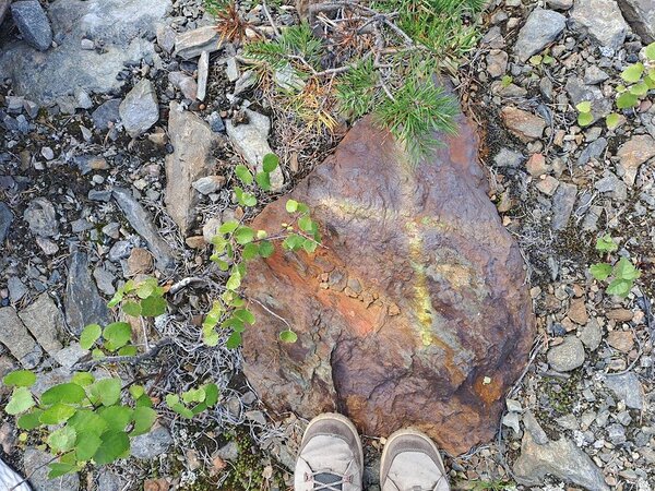 „Dirty” mineralized rock marked with an X near the Juomasuo Au-Co deposit pit.