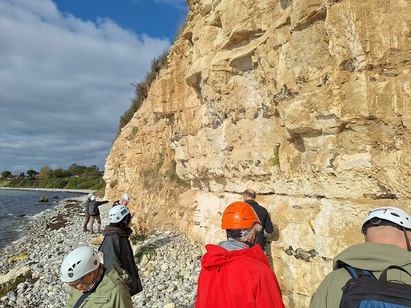 GEUS specialists Peter Frykman, Jon Inseon and Lars Stemmerik lead participants in search for the famous Cretaceous - Paleogene (K/T) boundary.