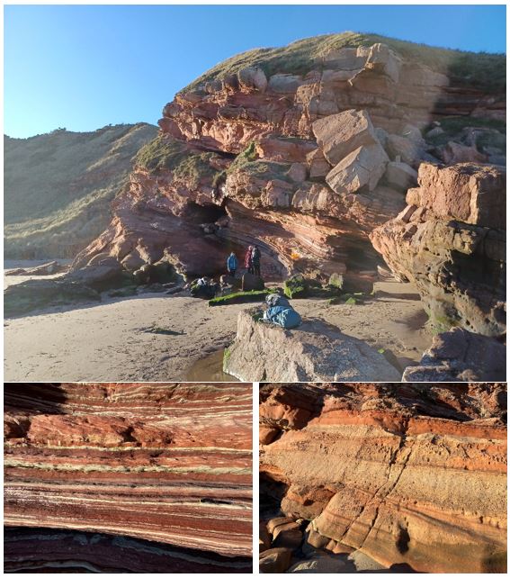 Pease Bay outcrop showing the marvellous sedimentary structures of the Devonian Old Red sandstone.