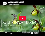 Kaunis kuldking videojuhend taimetikand 3