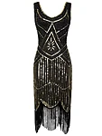 Great gatsby 1920ndate stiilis flapper kleit  narmaskleit  litterkleit must 5