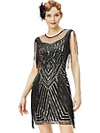 Great gatsby 1920ndate stiilis narmaskleit  litterkleit  flapper kleit must