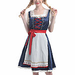 Tumesinine traditsiooniline dirndl kleit 1