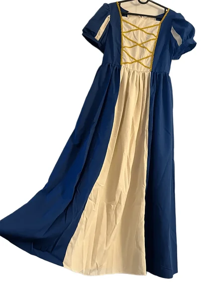 Printsessikleit täiskasvanule / sinine renessanss kleit