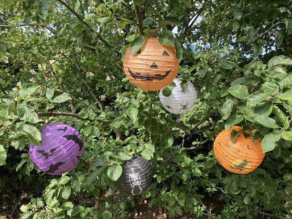 Halloween Lanterns