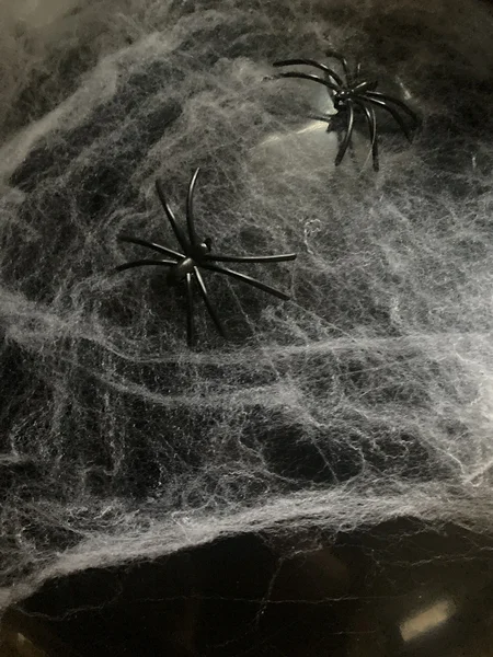 Ämblikuvõrk Halloweeniks kohe olemas