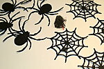 Halloween banner - spider and spiderweb
