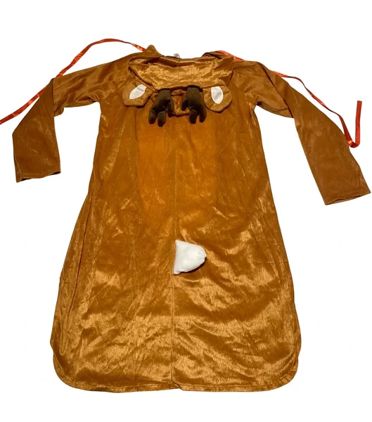 Christmas reindeer dress