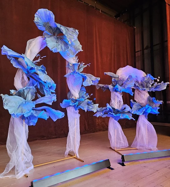 Suure dekoratsiooni alused & raamid