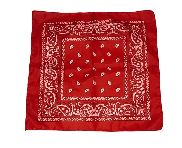 Kauboi kaelarätt / bandana / kauboisall