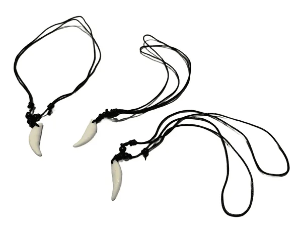 Kauboi ehted kohe olemas